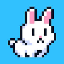 poor bunny